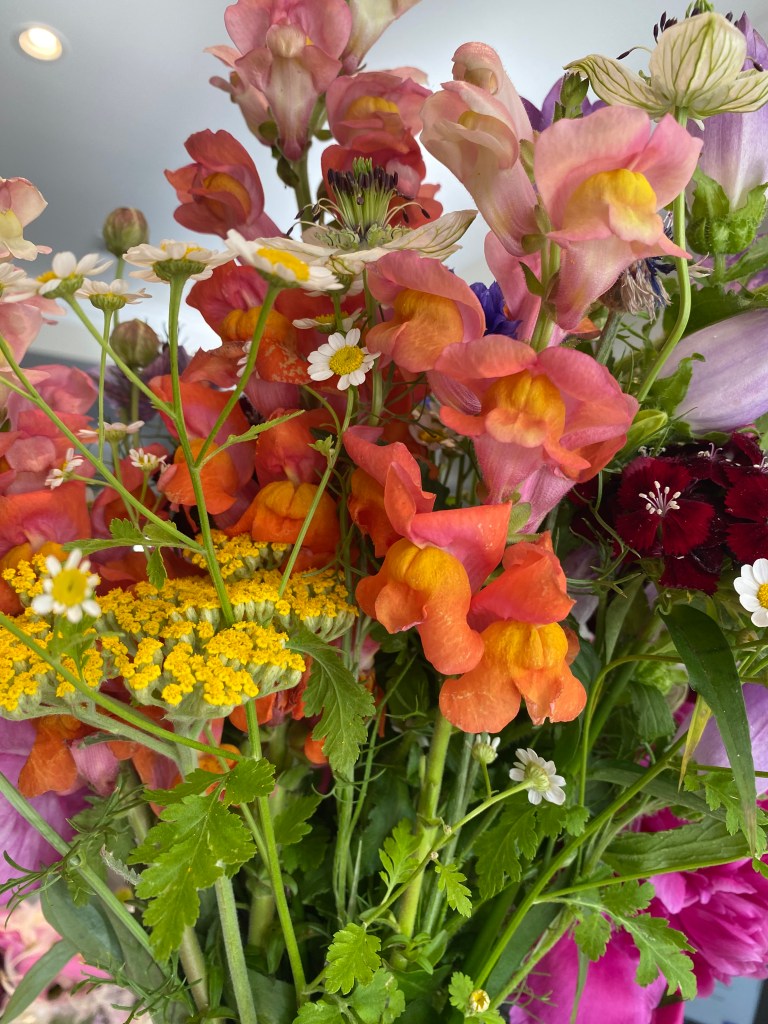 A photo of a bouquet of flowers. Front and center is a snapdragon with orange and yellow blooms at the bottom, fading to pink blooms at the top. There's also yellow yarrow, a dark red flower that might be dianthus, and several other flowers in shades of white and yellow. In the bak