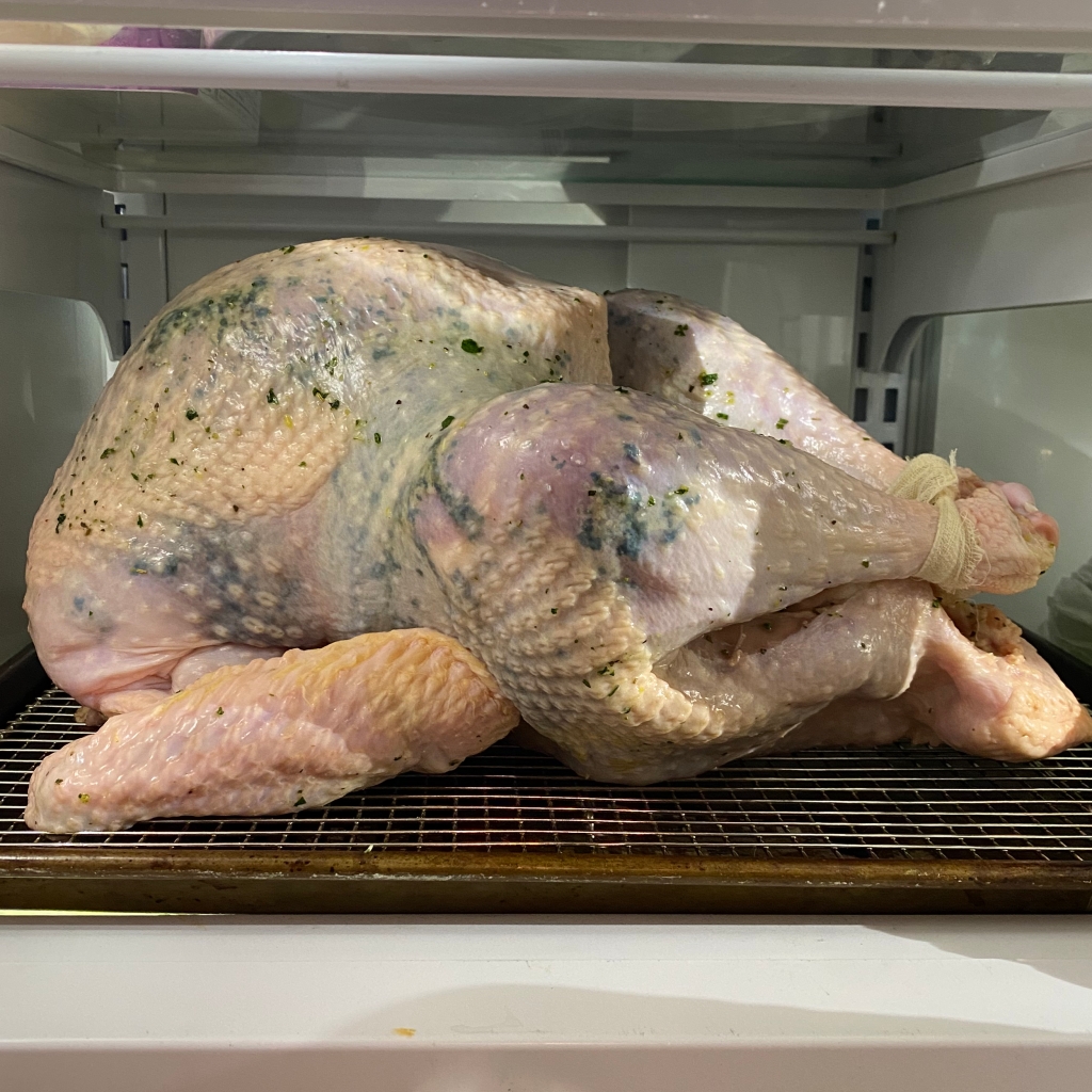 A raw pink turkey rests on a half-sheet pan with a rack inside a fridge. There are flecks of green herbs under the skin, and the legs are tied with  a strip of cheesecloth.