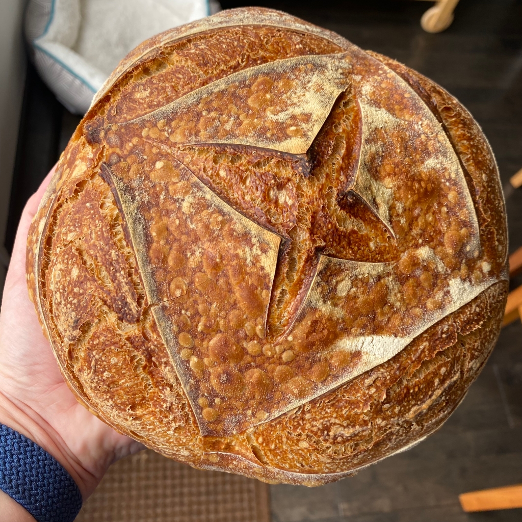 A white hand holds a round loaf of bread. It is a dark golden brown colors, with small bubbles visible under the crust. It's scored in a box pattern with a cross in the middle. 