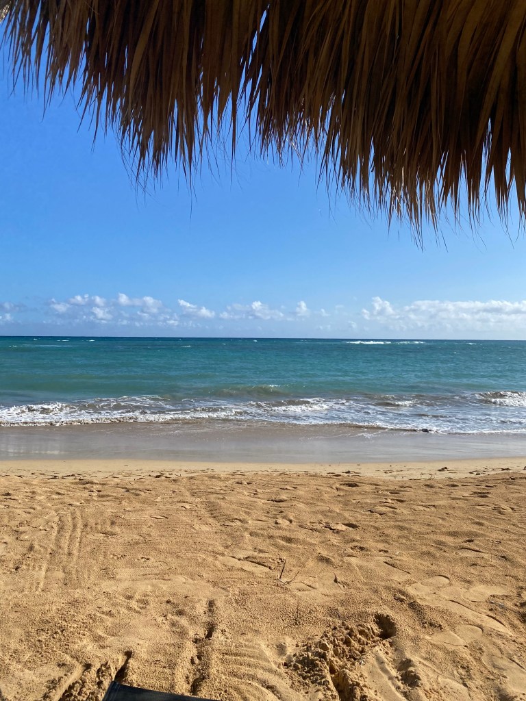 A view of the sand, the waves, and the sky is framed by fronds froma. beach umbrella. 