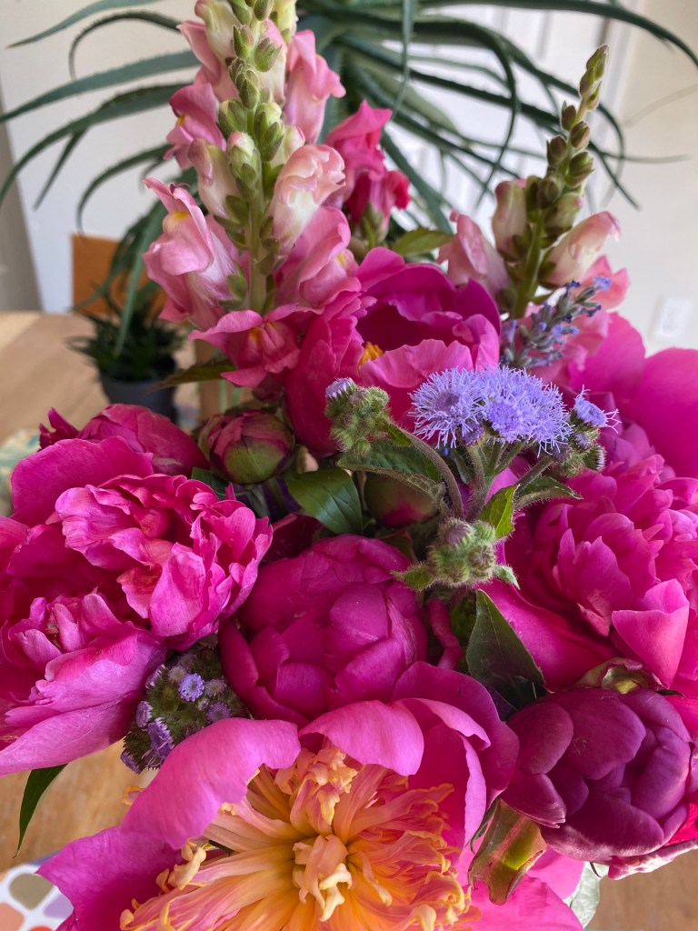 The same bouquet as before, but now mostly taken over by deep pink peonies in various stages of blooming.