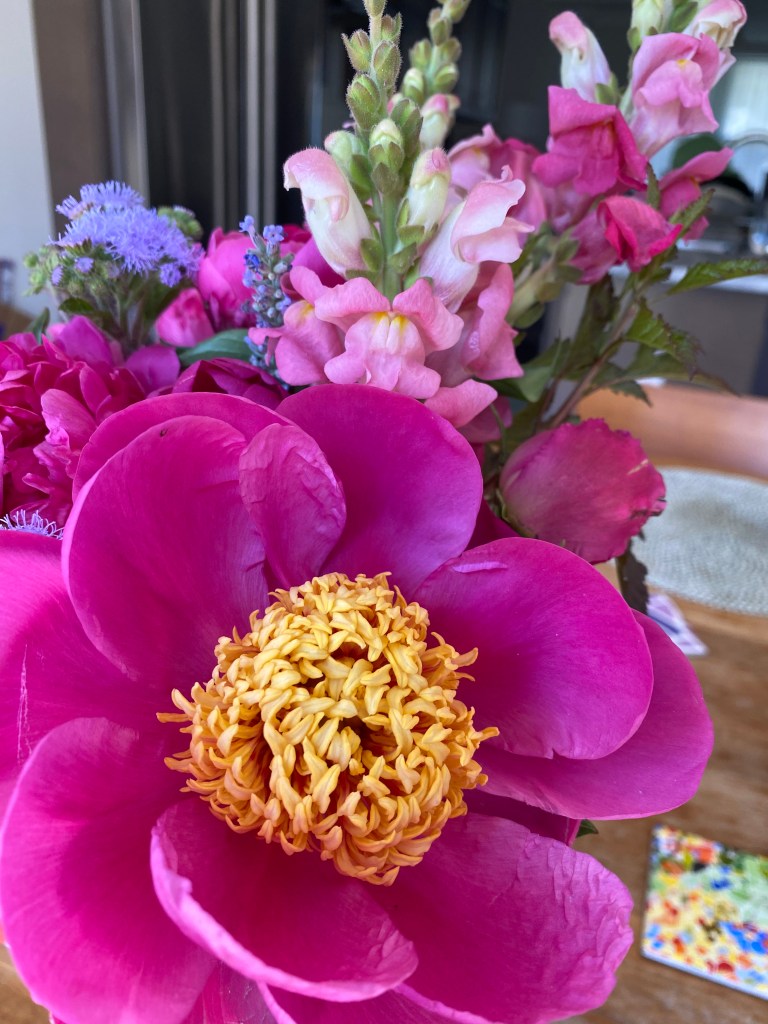 A pink peony in full bloom, sowing the yellow center.